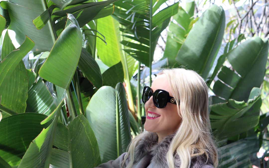 2022: The Year of the Shapeshifter 🐺